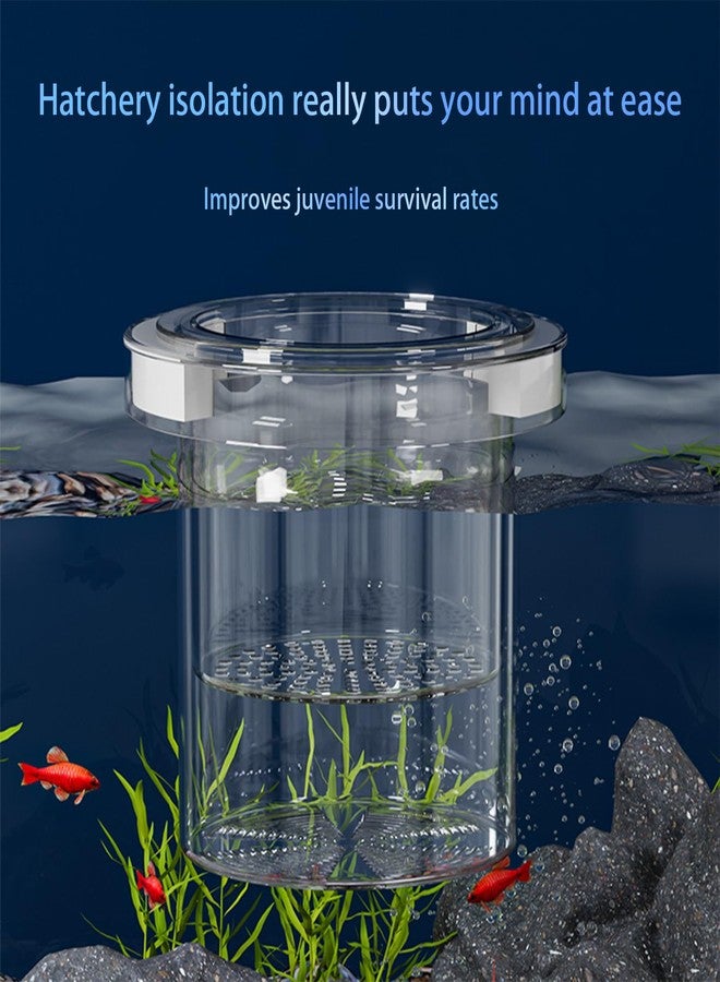 WEAVERBIRD Aquarium Breeder Box, Fish Breeding Box, Acrylic Breeder Isolation Divider Hatching Boxes, Floating Incubation Box, Round Isolation Hatchery Feeding Boxes for Small Fish Fry Hatchery - Image 4